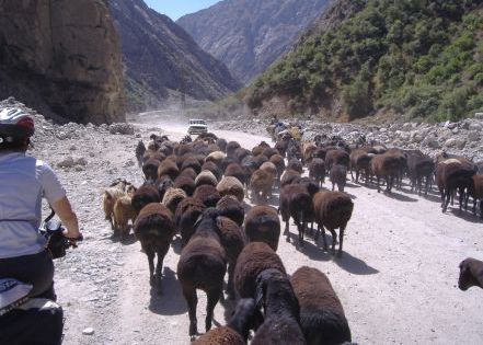 Bike-Blog Teil 1:
Usbekistan & Tadschikistan