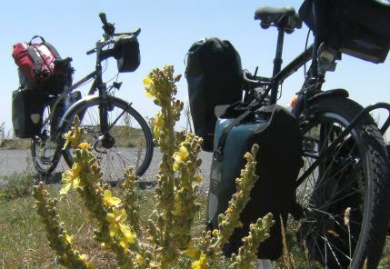 Panther Dominance Trekking sowie  Trekking- und Reiserad T 400 vsf fahrrad manufaktur am Aragaz in Armenien