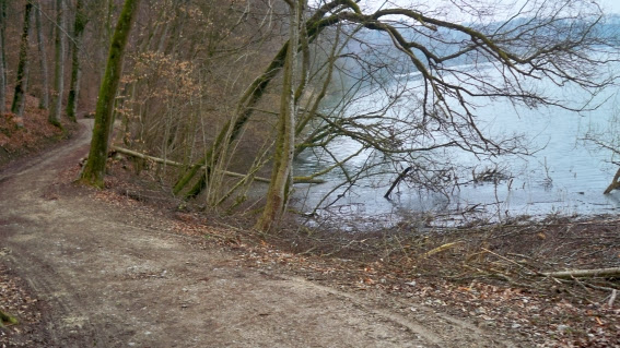 Radweg im Mittelland bei Golaten, Schweiz