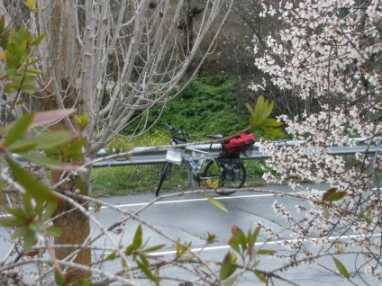 Frühlingsimpressionen mit Rad im Februar am Troodos-Gebirge auf Zypern