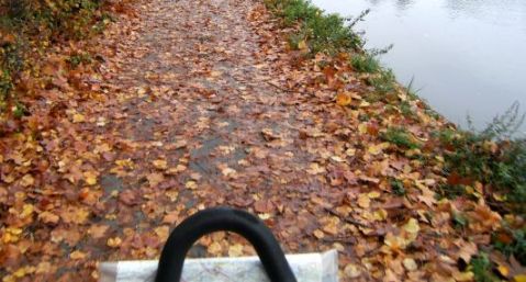 Herbst-Laubteppich am Radweg des Canal du Nivernais, Burgund, Frankreich