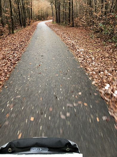 Radweg im Wald bei Bamberg