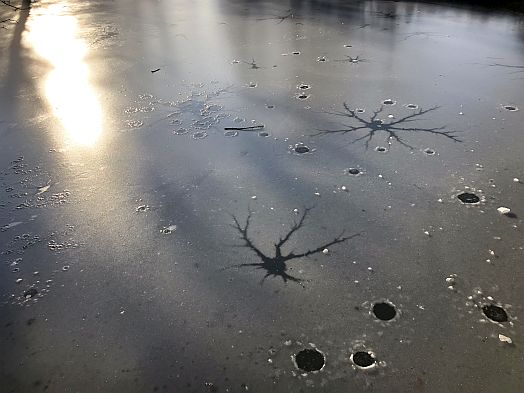 Eisbildung auf Auenflächen