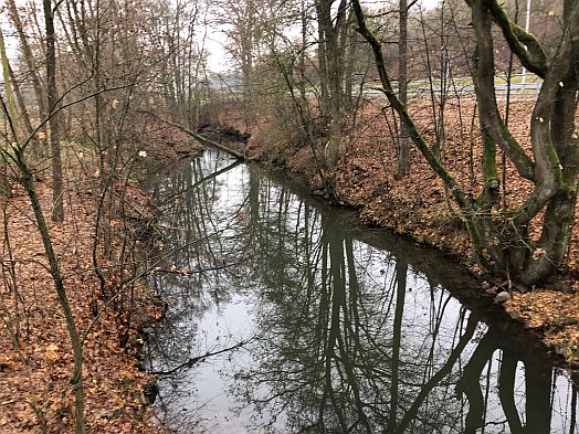 Rauhe Ebrach bei Pettstadt