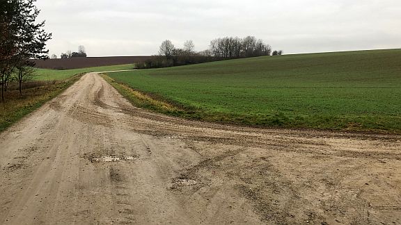 Radweg im Michelsberger Wald