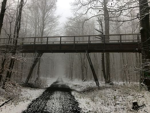 Baumwipfelpfad Steigerwald