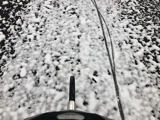 Radschneespuren im Wald