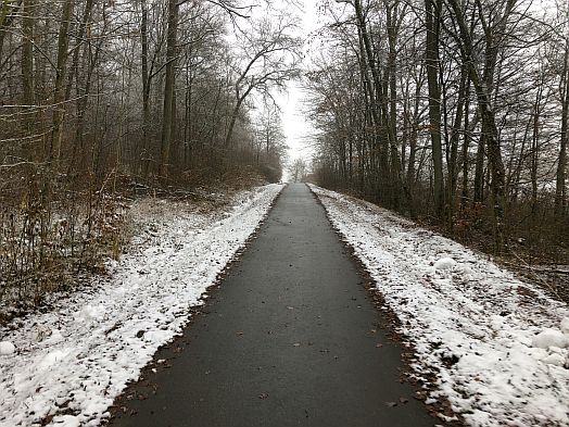 Bahntrassenradweg bei Ebrach