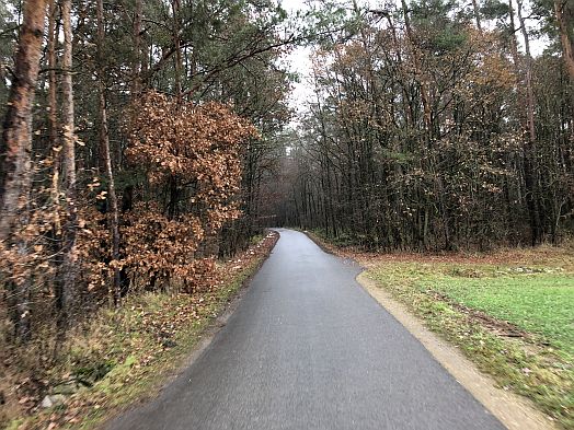 Radweg bei Pettstadt