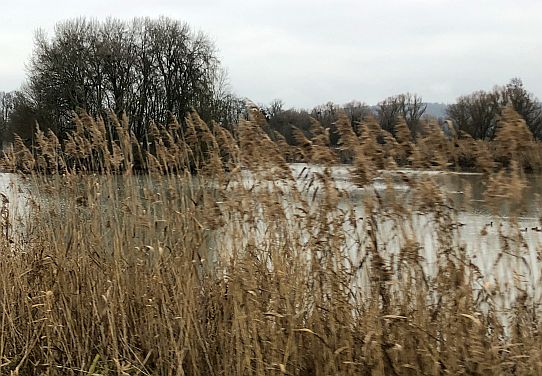 Kappelsee bei Rentweinsdorf