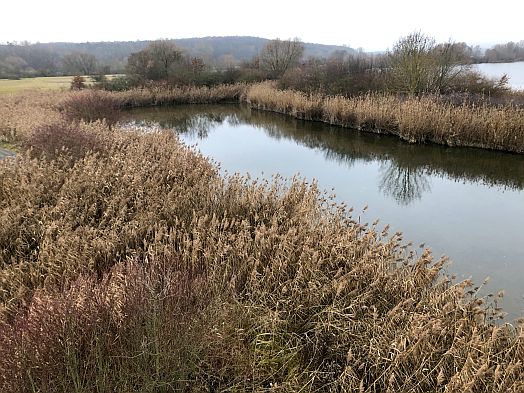 Am Sichelsee in der Mainaue