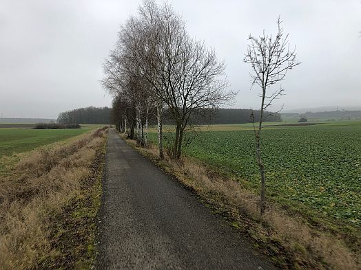 Bahntrassenradweg Hofheimerle