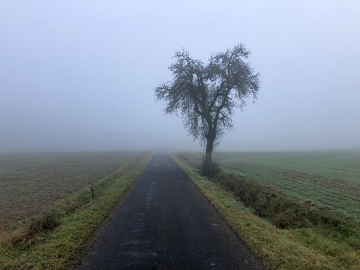 Auf der Pettstadter Straße