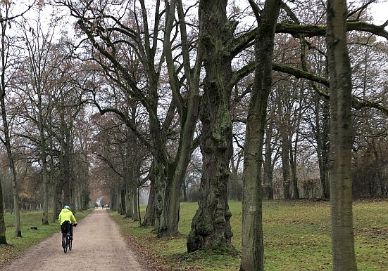 Park Schönbusch, Aschaffenburg