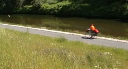 Muldental-Radweg bei Zwickau