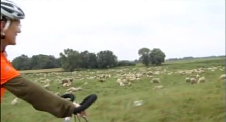 Franziska on the Bike mit Schafen