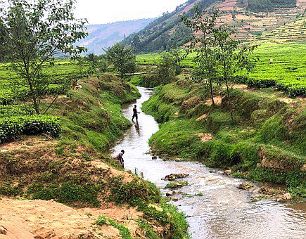 Kabingwe-Fluss und Tee-Plantagen