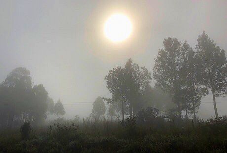 Uganda: Sonnenaufgang im Nebel bei Kabale