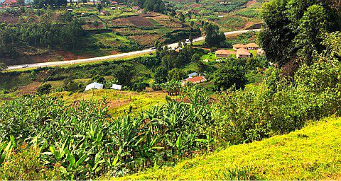 Häuser an der Landstraße bei Kabale, Uganda