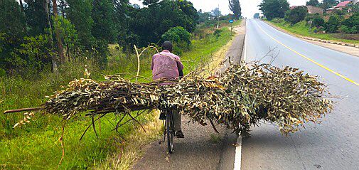 Uganda: Radler mit überhängender Ladung
