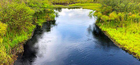 Fluss am Viktoriasee