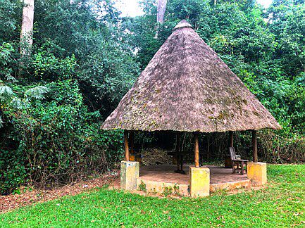 Mpanga Forest Ecotourism