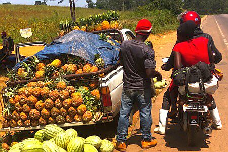 Uganda: Ananas- und Melonen-Verkäufer mit Pick-Up