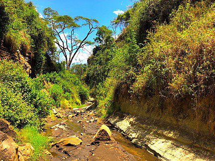 Hell's Gate Nationalpark: Gorge