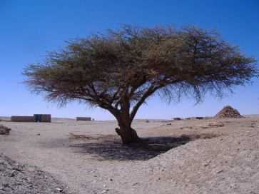 Nil: Besiedlung erst jenseits der Botanik, Sudan