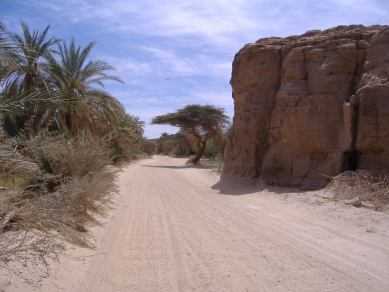 Fahrt auf dem rechten Ufer des Nil von Karima nach El Kurru, Sudan