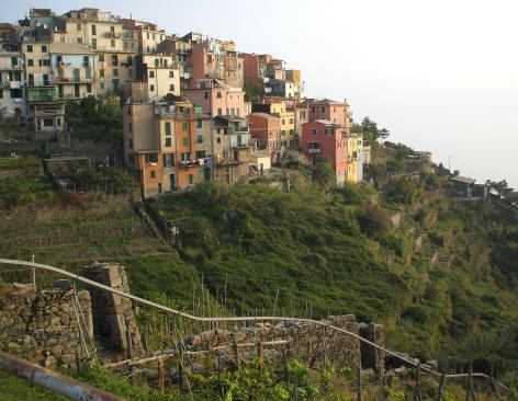 Corniglia und der Weinanbau