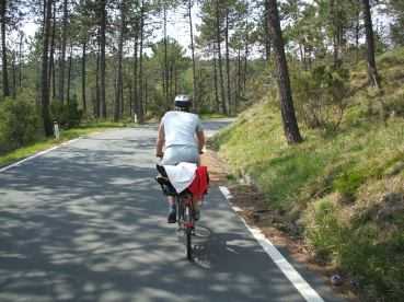 Miri im Pinienwald am Valico Guaitarola (617 m)