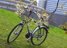 Foto Special: Diamant-Bike