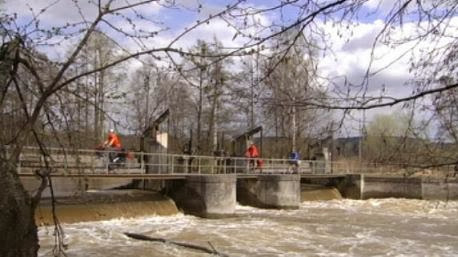 Wehr in der Waldnaab bei Weiden, Oberpfalz