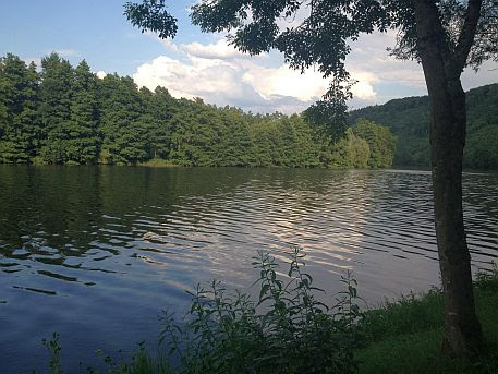 Main in der Mainschleife zwischen Urphar und Wertheim