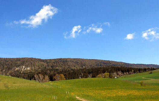 Schweizer Jura-Gebirge im Tal der Birs/Birse am Ostersonntag