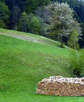 Aufgeschichtetes Holz im Inntal bei Pfunds