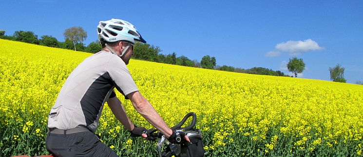 Chris on the Bike vor Rapsfeld an der Reuss auf dem schweizer Radweg 77