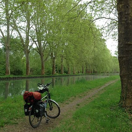 Canal du Rhône au Rhin südlich von Strasbourg