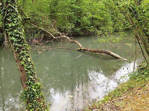 Stillgelegtes Teilstück des Rhein-Rhone-Kanals