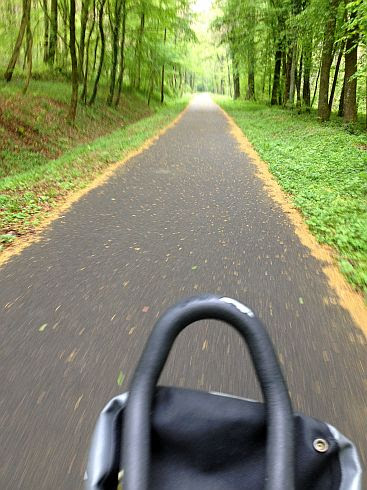 Fahrradweg auf alter Bahntrasse von Dannemarie am Grumbach ins elsässische Jura