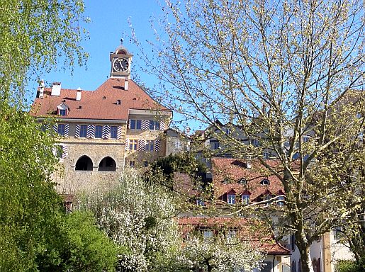 Murten: Blick vom See auf die Stadt