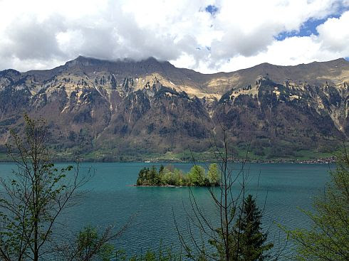 Blick auf kleine Insel im Brienzersee