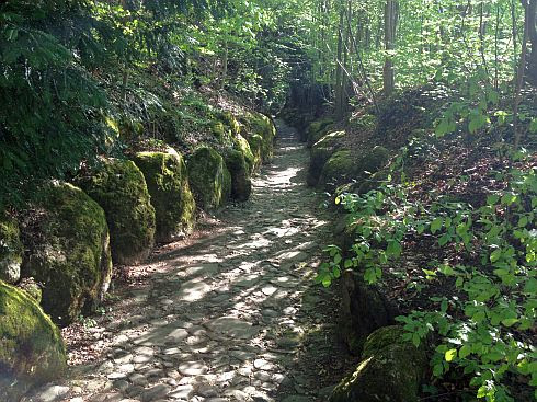 Wilhelm Tell: Hohle Gasse bei Küsnacht