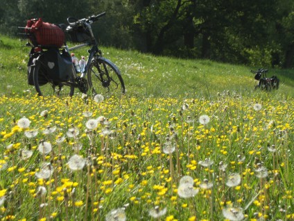 Frühling am Rhein-Radweg bei Leimersheim