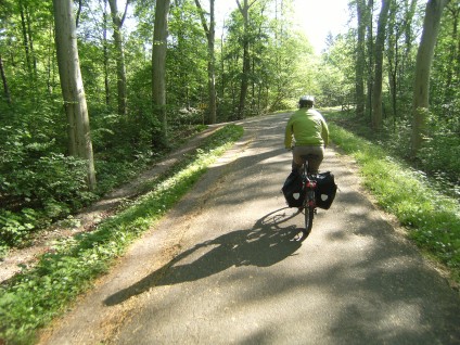 Miri auf dem Rhein-Radweg bei Strasbourg umgeben von blühendem Bärlauch, Frankreich